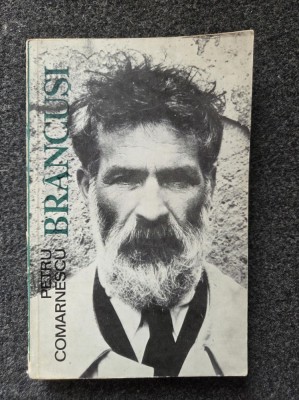BRANCUSI - Petru Comarnescu foto