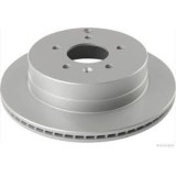 Disc frana punte spate Tip disc fr&acirc;na
