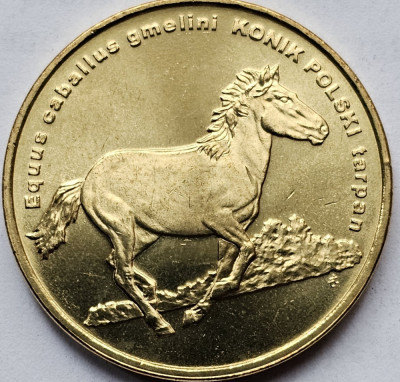 2 Zlote / Zloti 2014 Polonia, Polish konik, unc-aunc foto