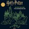 Harry Potter Glow in the Dark Coloring