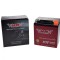 Acumulator YB10L, Gel, 12 V Cod Produs: MX_NEW AB00213