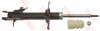 Amortizor NISSAN ALMERA II Hatchback (N16) (2000 - 2016) TRW JGM1177SL