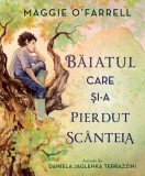 Băiatul care și-a pierdut sc&acirc;nteia - Hardcover - Maggie O&#039;Farrell - Didactica Publishing House