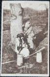 Carte Postala, Romania, tanara cu cobilite si barbat cu caciula de oaie, 1918