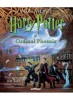 Harry Potter si Ordinul Phoenix - Editie Ilustrata, Text Integral - J.K. Rowling, Neil Packer - Editura Art - Carte Copii, Povesti