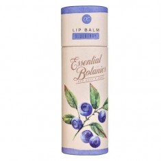 Balsam de buze cu aroma de coacaze Essential Botanics Fruits Accentra 5757555, 10 g