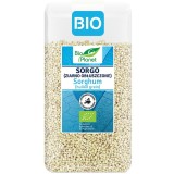 Sorg Decorticat Ecologic/Bio 500g