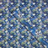 Hartie de ambalaj cu model fotbal, rola 150x70 cm, albastra si verde, CMCLASS