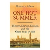 Cumpara ieftin One hot summer, Rosemary Ashton