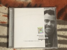 Alexandru Andries - Alb negru (17 cintece de Bob Dylan in limba romana) foto