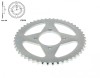 Pinion Spate 428/49 JT Sprockets Yamaha DT RD RS RSX T YB YBA YBR 100 105 125 (1974-2016)