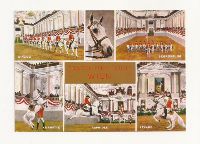 AT1 - Carte Postala-AUSTRIA-Vienna, Spanish court riding school , necirculata