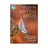 The RSPB everyday guide to British birds: identify our common species and learn more about their lives