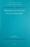 Pilgrimage and Holy Space in Late Antique Egypt. Edited by David Frankfurter