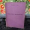 Charles G. Clarke, Operatorul Profesionist, București 1967, 118