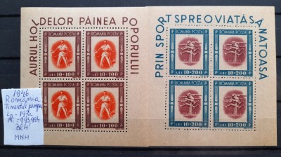 1946-Romania-Tineretul progresist-Lp 197a-2 buc.-Bl4-MNH foto