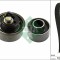 INA 530 0664 10 Set curea de distributie