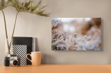 Tablou Canvas Flori &Icirc;nghețate &icirc;n Dimineața de Iarnă Natură și Gheață, 39 x 26 cm, CMCLASS