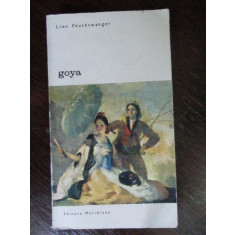 Goya sau drumul sinuos al cunoasterii vol.2