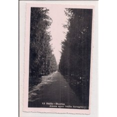 Carte postala circulata in 2 august 1942