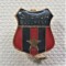 Insigna Steaua Bucuresti