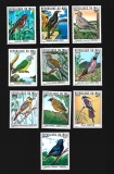 mali pasari mnh