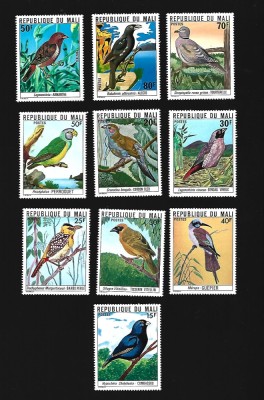 mali pasari mnh foto