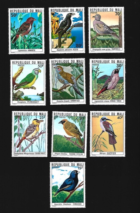 mali pasari mnh