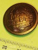 Bnk dv Romania RSR - nasture metalic uniforma - diam 25 mm