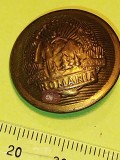 bnk dv Romania RSR - nasture metalic uniforma - diam 25 mm