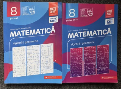 MATE 2000 CONSOLIDARE ALGEBRA GEOMETRIE CLASA A VIII-A - Negrila (2 volume 2021) foto