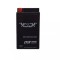 Acumulator 6V-10Ah SMF, WM
