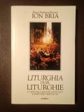 Preot profesor doctor Ion Bria - Liturghia după liturghie: o tipologie a misiunii apostolice...