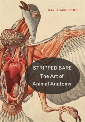 Stripped Bare: The Art of Animal Anatomy foto