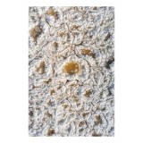 Tablou Canvas, "Minunățiile iernii &icirc;n detaliu fragil", Cristale, Textură, Albul, Geometrie, Mineral., 26 x 39 cm, CMCLASS