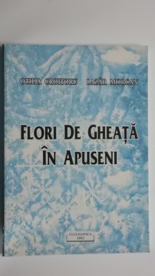 Otilia Croitoru, Lazar Morcan - Flori de gheata in Apuseni (autograf: Otilia C.) foto