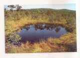 RF164 - Carte Postala - Rezervatia Naturala Mohos, necirculata