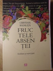 FRUCTELE ABSENTEI. SURASURI SI EXORCIZARI-CRISTIAN BADILITA-233998