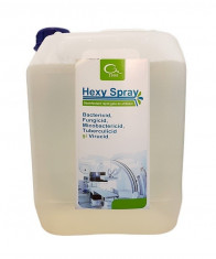 HEXY SPRAY - Dezinfectant rapid pentru suprafete, 5 L foto