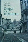 Gabriel Liiceanu - Dragul meu turnator