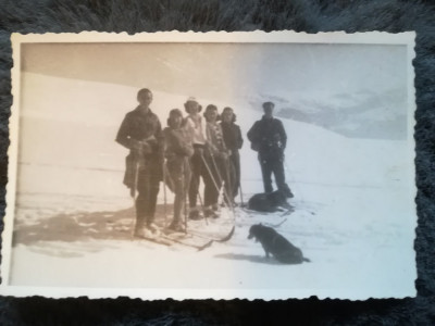 1947 Foto Muntele mic CARANSEBES schi sport iarna caini vacanta. format mic foto