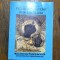 Pe jos in rugaciune prin Athos 2004 - Diacon Ghe. Babut / R4P1F