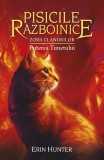 Pisicile razboinice (vol. 26): Zorii clanurilor. Puterea tunetului - Editura All