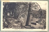 AD 295 C. P. VECHE - L&#039;AUVERGNE PITTORESQUE - UN SOUS-BOIS AU BORD -FRANTA 1934