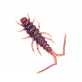 Năluca soft Perchik Stalker 1.6&Prime; 4cm 002