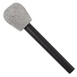Cumpara ieftin Microfon Glitter pentru copii 3-9 ani