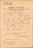 HST A1148 Certificat de ucenicie 1949 Mediaș emis de coafor evreu