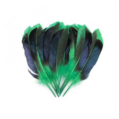 Set 20 pene decorative rata, lungime 10 - 13 cm, Negru verde foto