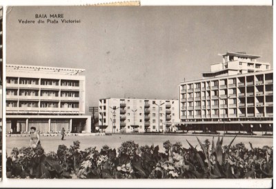CPIB 22179 - CARTE POSTALA - BAIA MARE. PIATA VICTORIEI, RPR foto