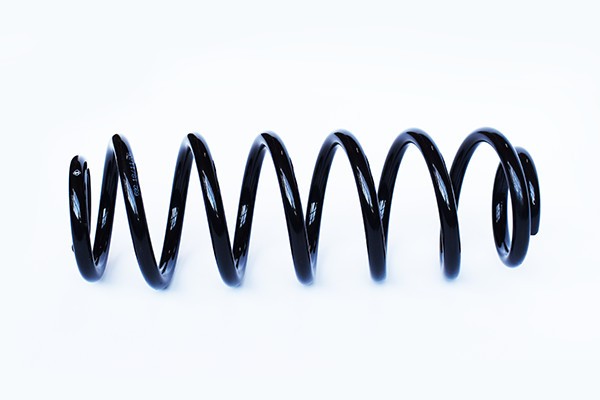 Arc Suspensie Spate 65864 SR.029